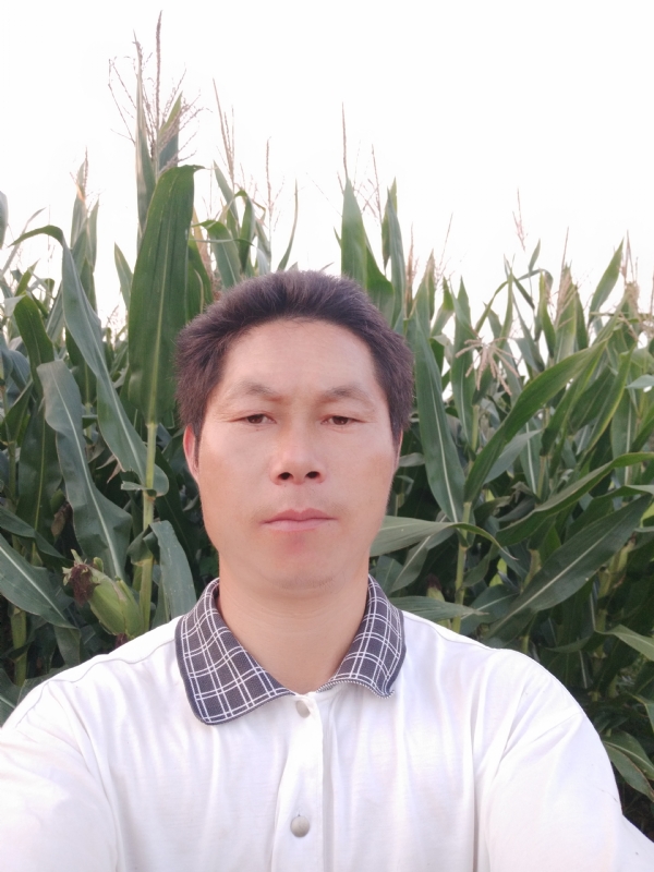 四海游龙的第一张照片--贵阳相亲服务中心